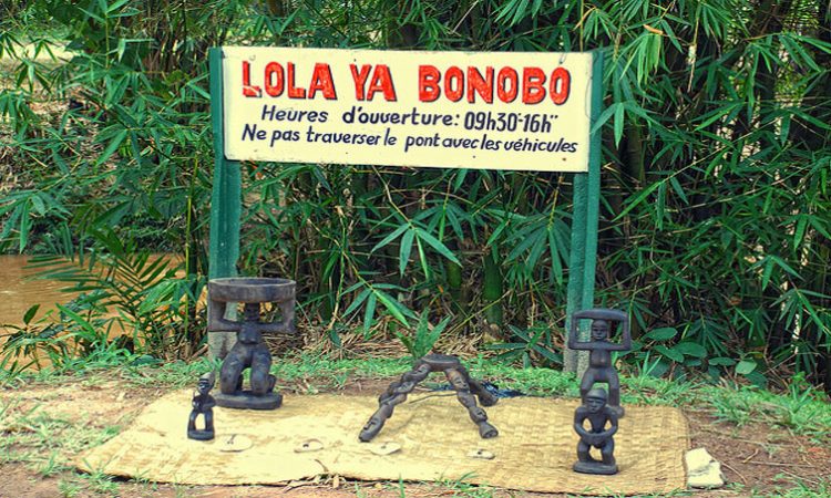 Visit Lola ya Bonobo + Car (TOYOTA VANGUARD)