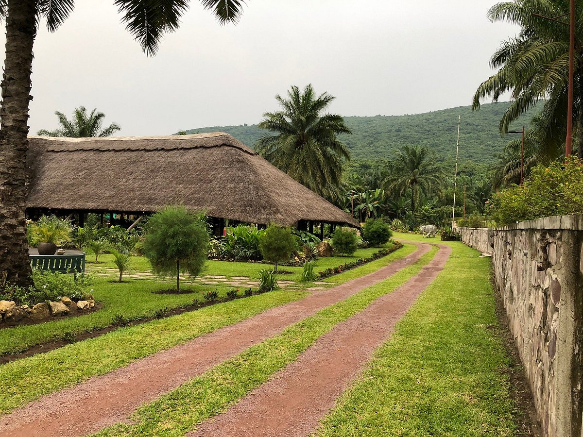 Nsele Park (Entrance + safari)