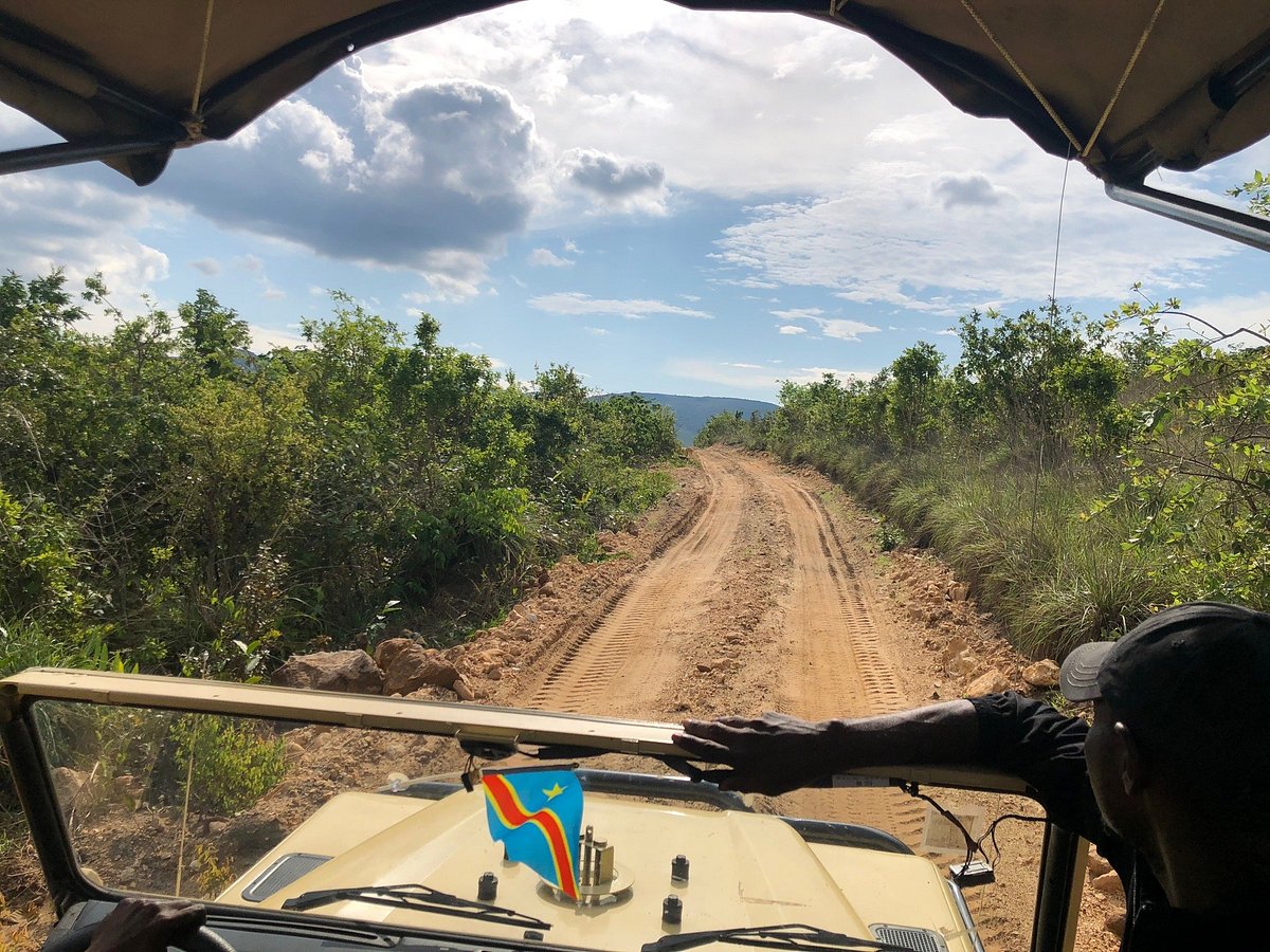 Nsele Park (Entrance + safari)